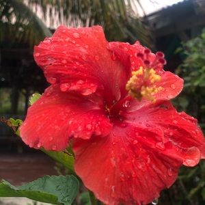 Meet your Posher, Arianna